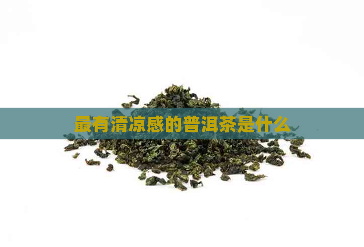 最有清凉感的普洱茶是什么