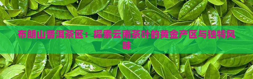 布朗山普洱茶区：探索云南茶叶的黄金产区与独特风味