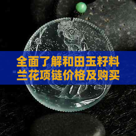 全面了解和田玉籽料兰花项链价格及购买指南，解答用户所有疑问