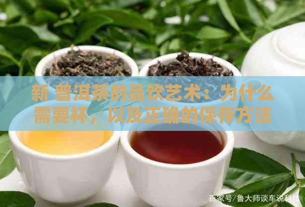 新 普洱茶的品饮艺术：为什么需要杯，以及正确的保存方法