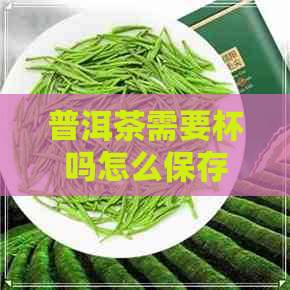 普洱茶需要杯吗怎么保存