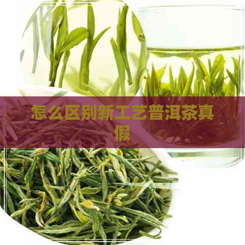 怎么区别新工艺普洱茶真假