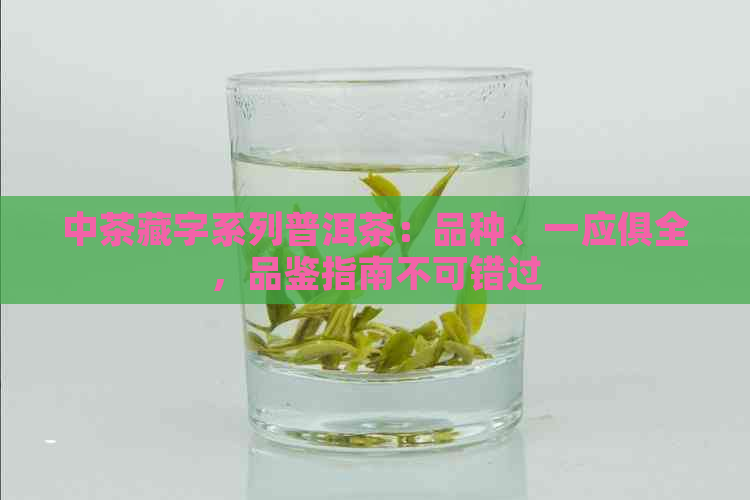 中茶藏字系列普洱茶：品种、一应俱全，品鉴指南不可错过