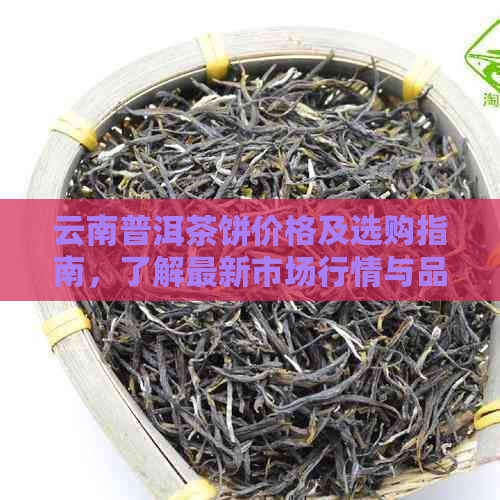 云南普洱茶饼价格及选购指南，了解最新市场行情与品质鉴别方法