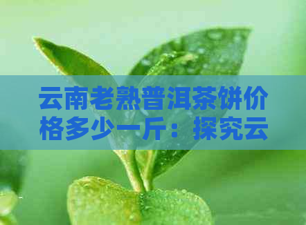 云南老熟普洱茶饼价格多少一斤：探究云南普洱茶饼的市场行情和价格变动