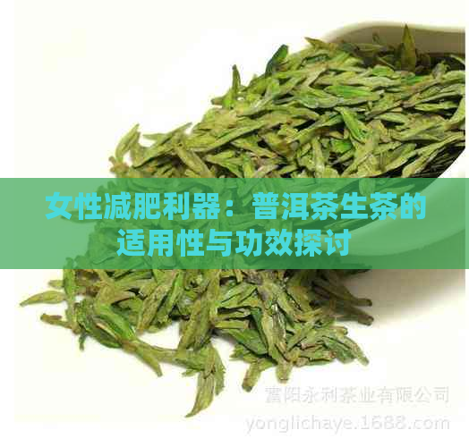 女性减肥利器：普洱茶生茶的适用性与功效探讨