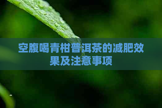 空腹喝青柑普洱茶的减肥效果及注意事项