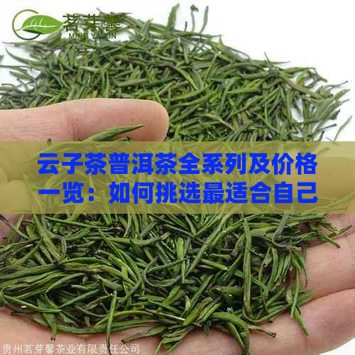 云子茶普洱茶全系列及价格一览：如何挑选最适合自己的优质普洱茶？