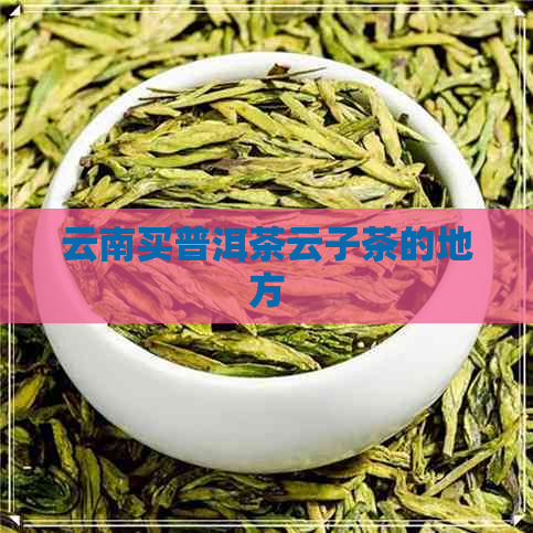 云南买普洱茶云子茶的地方