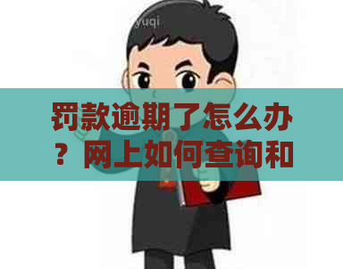 罚款逾期了怎么办？网上如何查询和处理？