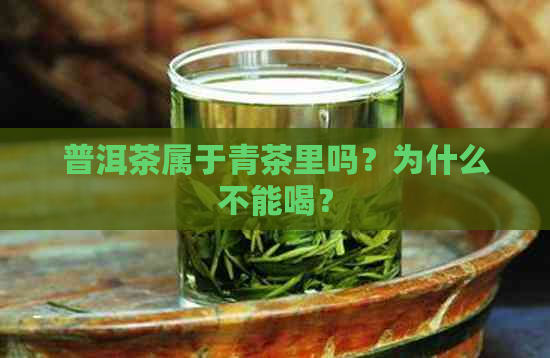 普洱茶属于青茶里吗？为什么不能喝？