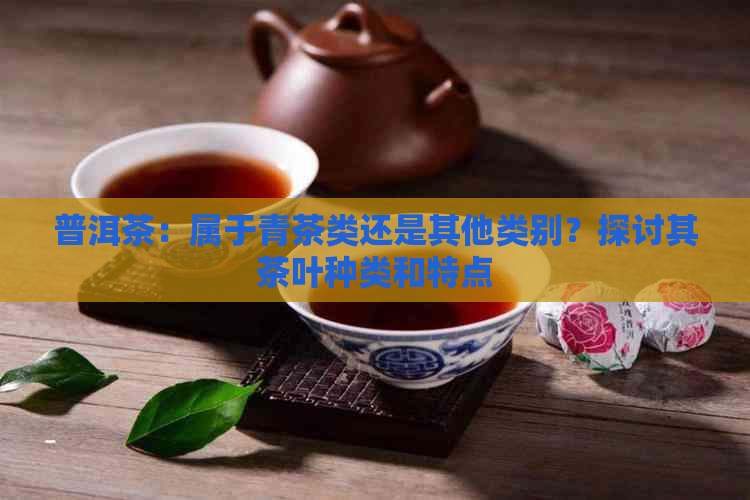 普洱茶：属于青茶类还是其他类别？探讨其茶叶种类和特点