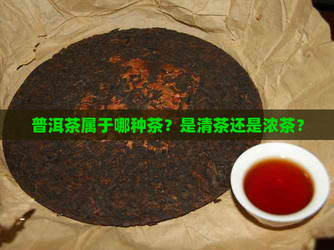 普洱茶属于哪种茶？是清茶还是浓茶？