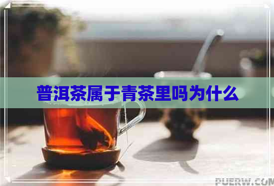 普洱茶属于青茶里吗为什么