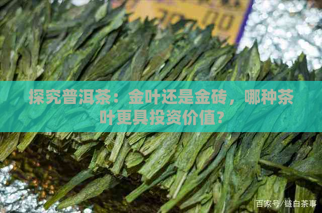 探究普洱茶：金叶还是金砖，哪种茶叶更具投资价值？