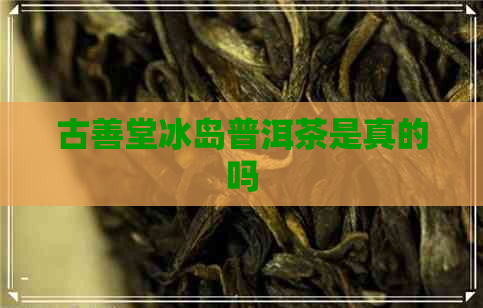 古善堂冰岛普洱茶是真的吗