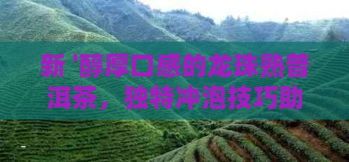 新 '醇厚口感的龙珠熟普洱茶，独特冲泡技巧助您品尝其糯香'