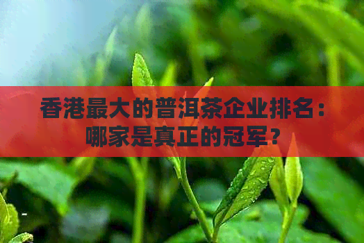 更大的普洱茶企业排名：哪家是真正的冠军？