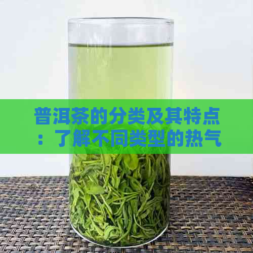 普洱茶的分类及其特点：了解不同类型的热气腾腾的普洱茶