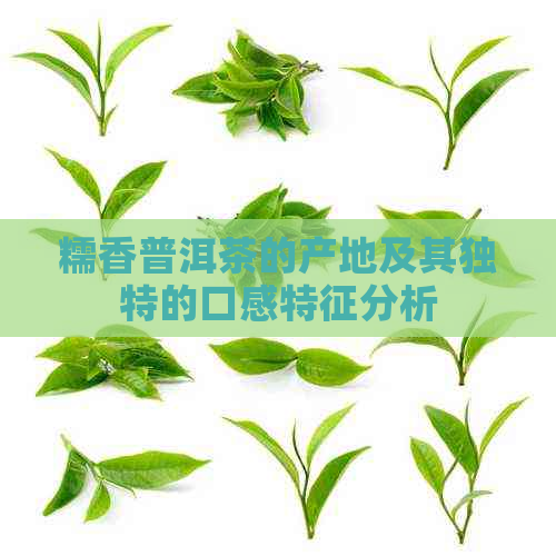 糯香普洱茶的产地及其独特的口感特征分析