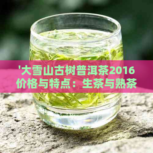 '大雪山古树普洱茶2016价格与特点：生茶与熟茶的区别'