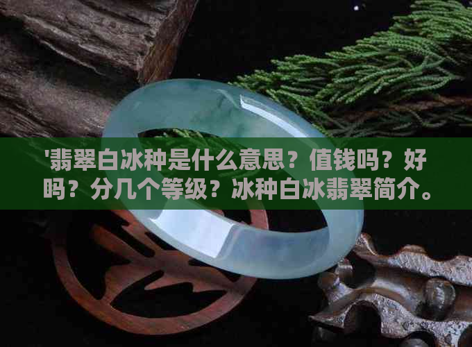 '翡翠白冰种是什么意思？值钱吗？好吗？分几个等级？冰种白冰翡翠简介。'