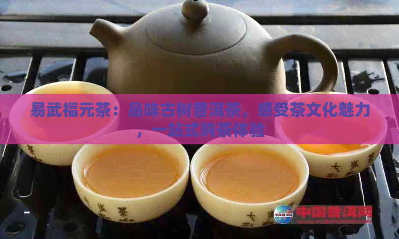 易武福元茶：品味古树普洱茶，感受茶文化魅力，一站式购茶体验