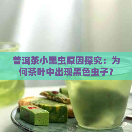 普洱茶小黑虫原因探究：为何茶叶中出现黑色虫子？