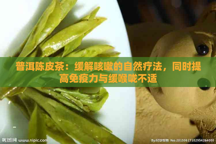 普洱陈皮茶：缓解咳嗽的自然疗法，同时提高免疫力与缓喉咙不适