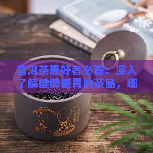 普洱茶爱好者必看：深入了解健脾暖胃的茶品，哪种更适合你？