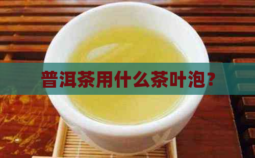 普洱茶用什么茶叶泡？