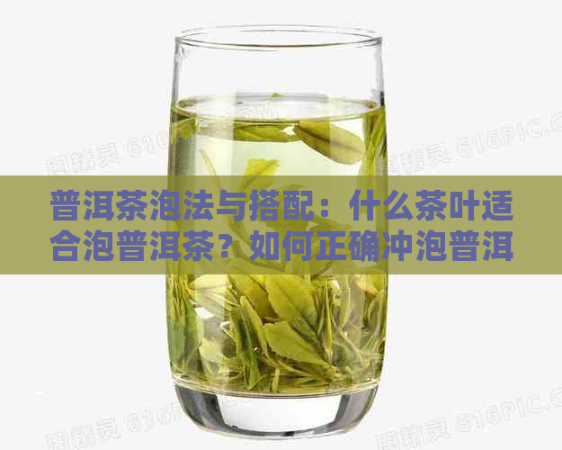 普洱茶泡法与搭配：什么茶叶适合泡普洱茶？如何正确冲泡普洱茶？