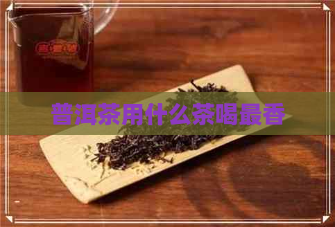 普洱茶用什么茶喝最香