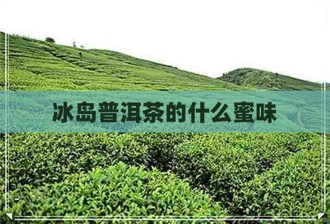 冰岛普洱茶的什么蜜味