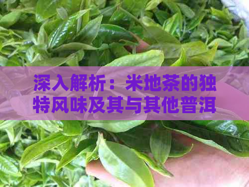 深入解析：米地茶的独特风味及其与其他普洱茶品种的对比分析