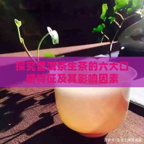 探究普洱茶生茶的六大口感特征及其影响因素