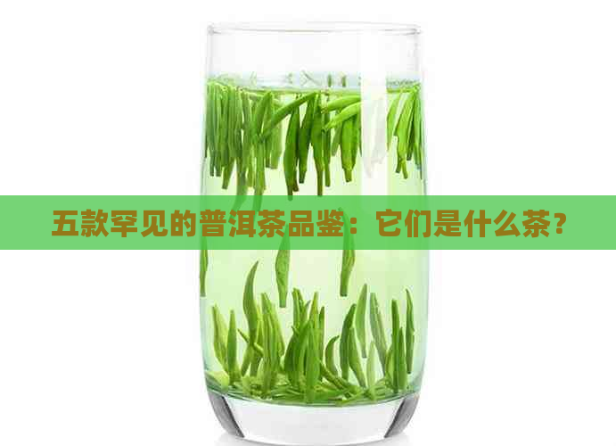 五款罕见的普洱茶品鉴：它们是什么茶？