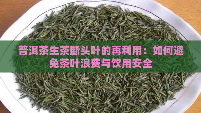 普洱茶生茶断头叶的再利用：如何避免茶叶浪费与饮用安全