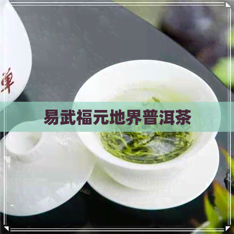 易武福元地界普洱茶