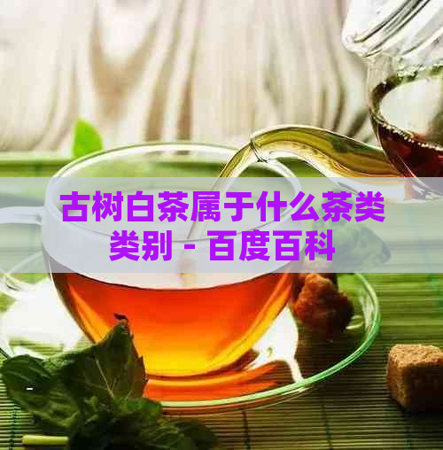 古树白茶属于什么茶类类别 - 百度百科