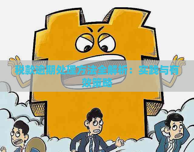 税款逾期处理方法全解析：实践与有效策略