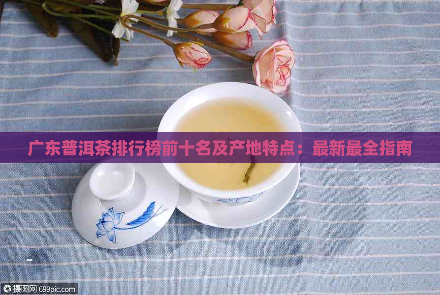 广东普洱茶排行榜前十名及产地特点：最新最全指南