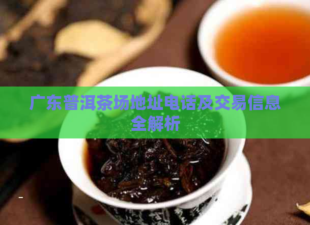 广东普洱茶场地址电话及交易信息全解析