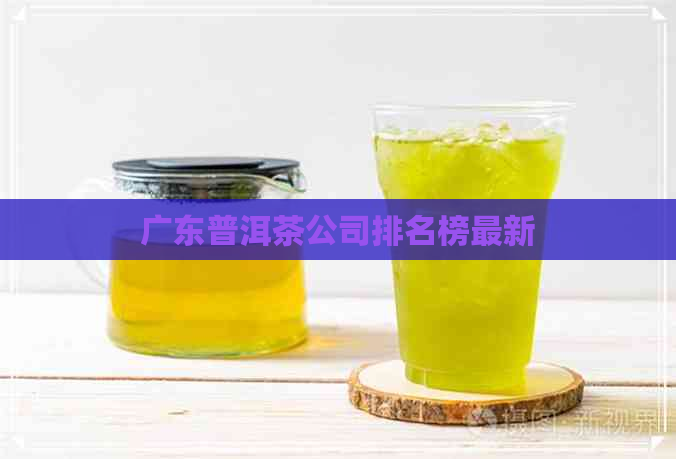 广东普洱茶公司排名榜最新