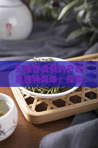 云南普洱茶的产地及独特风味：探索蜜韵茶香的起源