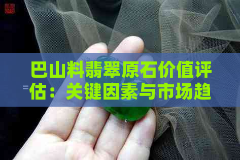 巴山料翡翠原石价值评估：关键因素与市场趋势分析