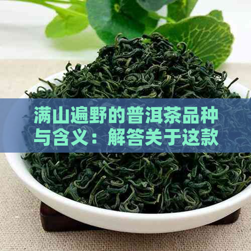 满山遍野的普洱茶品种与含义：解答关于这款茶叶的所有疑问