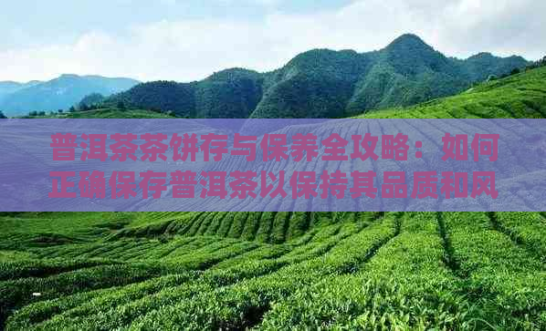 普洱茶茶饼存与保养全攻略：如何正确保存普洱茶以保持其品质和风味