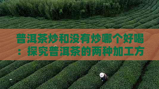 普洱茶炒和没有炒哪个好喝：探究普洱茶的两种加工方式