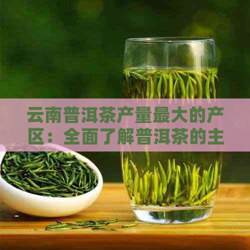 云南普洱茶产量更大的产区：全面了解普洱茶的主要产地及其特点